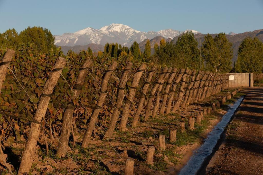 فيلا Bodega Durigutti Family Winemakers Las Compuertas المظهر الخارجي الصورة
