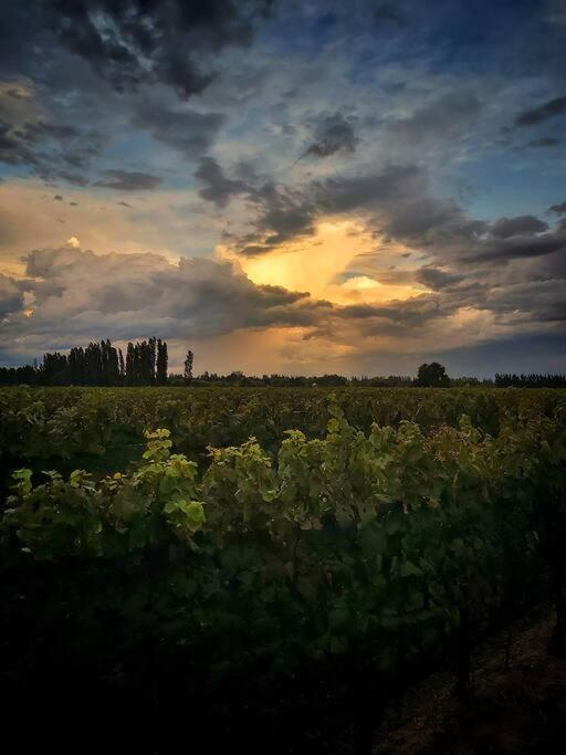 فيلا Bodega Durigutti Family Winemakers Las Compuertas المظهر الخارجي الصورة